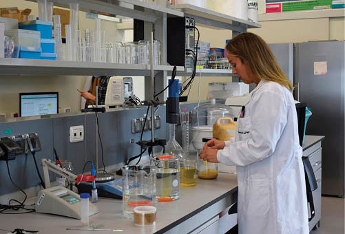 Una investigadora en un laboratorio del Campus.