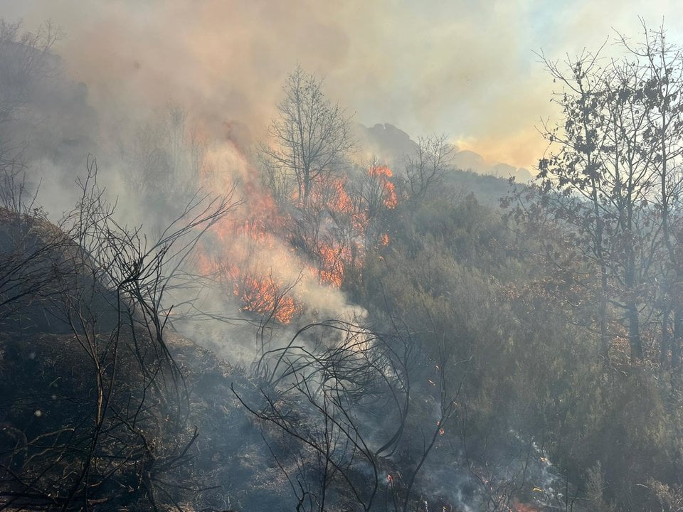 Incendio en la frontera de Zamora y Portugal