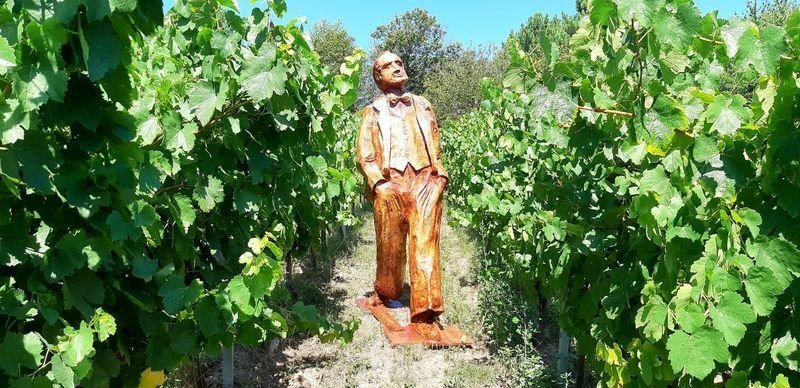 A estatua de Florencio Delgado pasea nunha viña valdeorresa. (Arquivo)