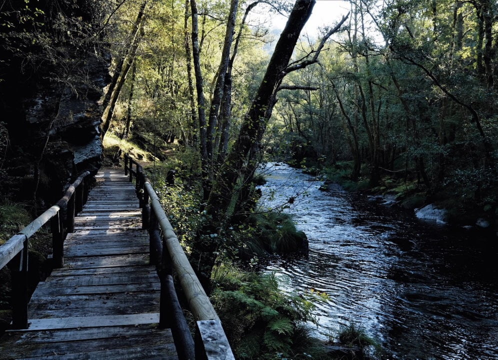 El sendero de la colina de O Santo, que se inicia en A Pontenova (Turismo de Galicia).