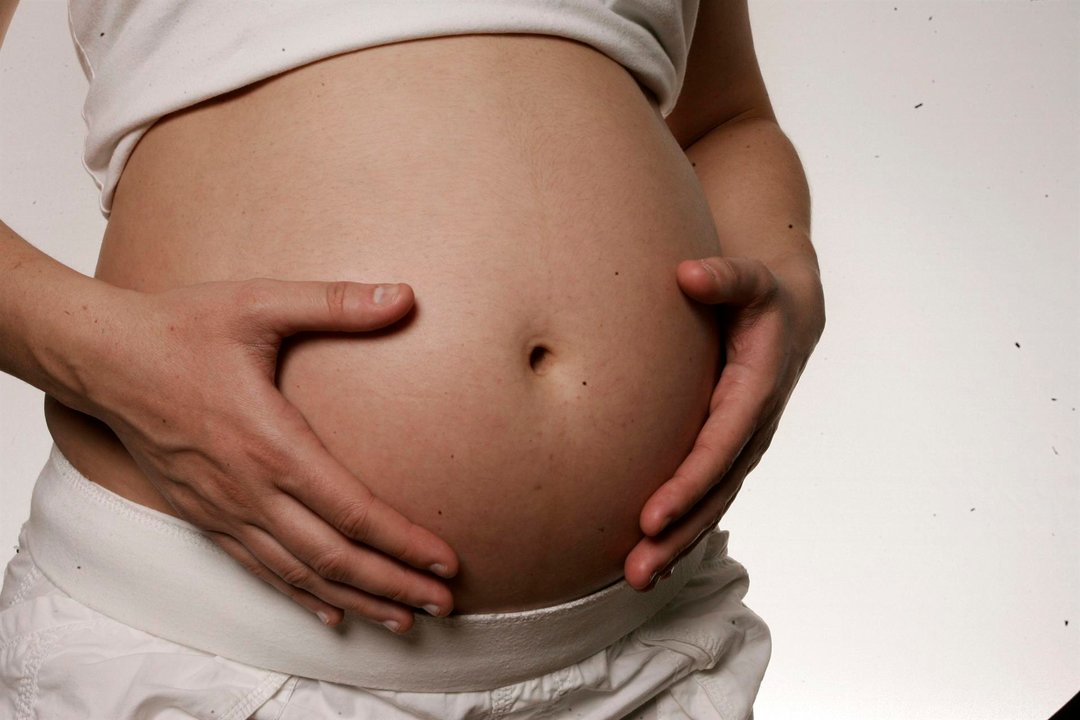 Imagen de un embarazo (EFE)