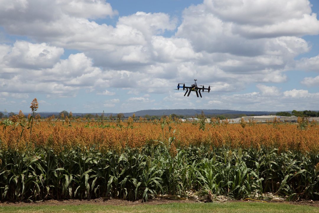 Un dron utilizado para tomar mediciones en un campo de agricultura deprecisión.