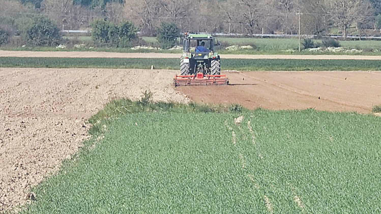 Un agricultor prepara esta semana sus terrenos en la zona de Paredes.