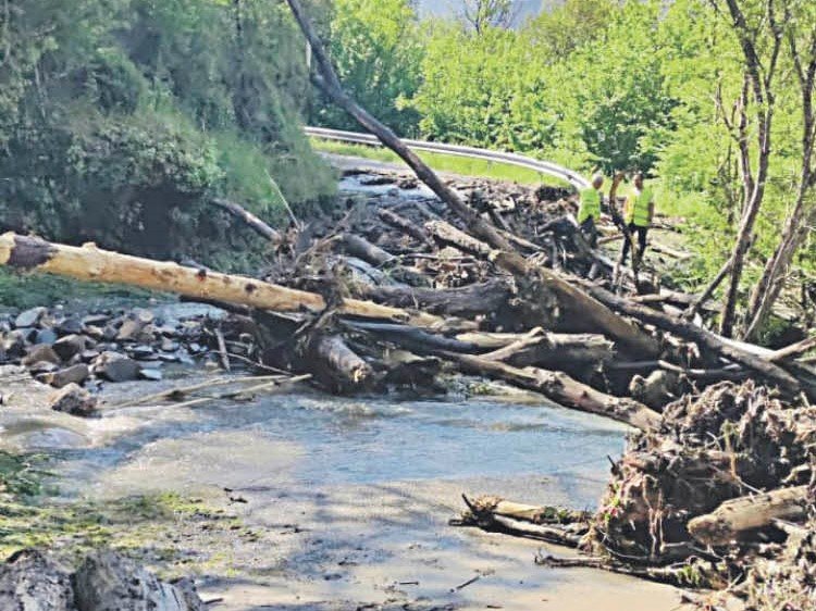Árboles y otros materiales arrastrados hasta la carretera de O Mazo.