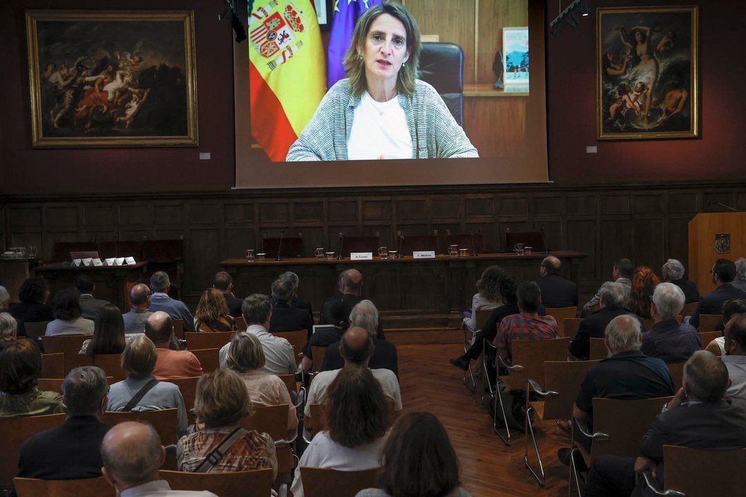 La ministra de Transición Ecológica, Teresa Ribera (EFE)