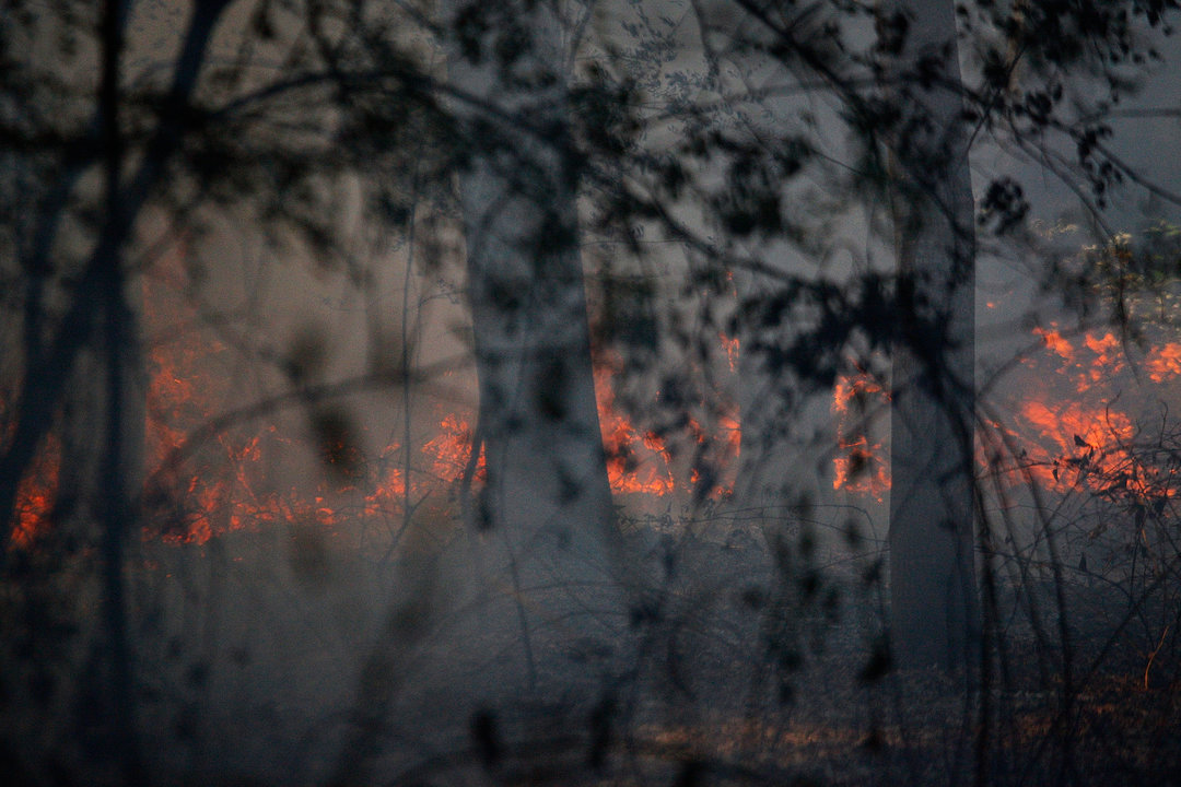 VERIN 20/07/2020 Incendios forestales 2022; localiad de Feces de Abaixo Foto: Miguel Angel