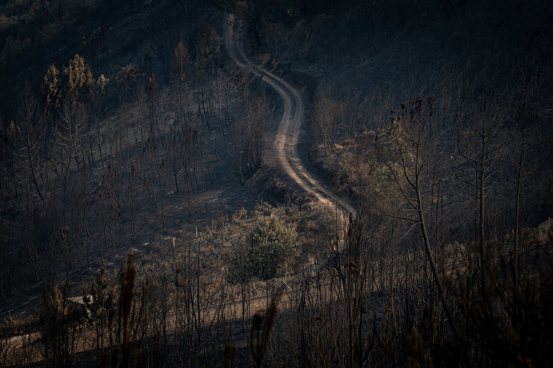 O BARCO DE VALDEORRAS (VILARIÑO). 20/07/2022. OURENSE. Testimonios de afectados polo lume que calcinou máis de 9.000 hectáreas na zona de Valdeorras. FOTO: ÓSCAR PINAL
