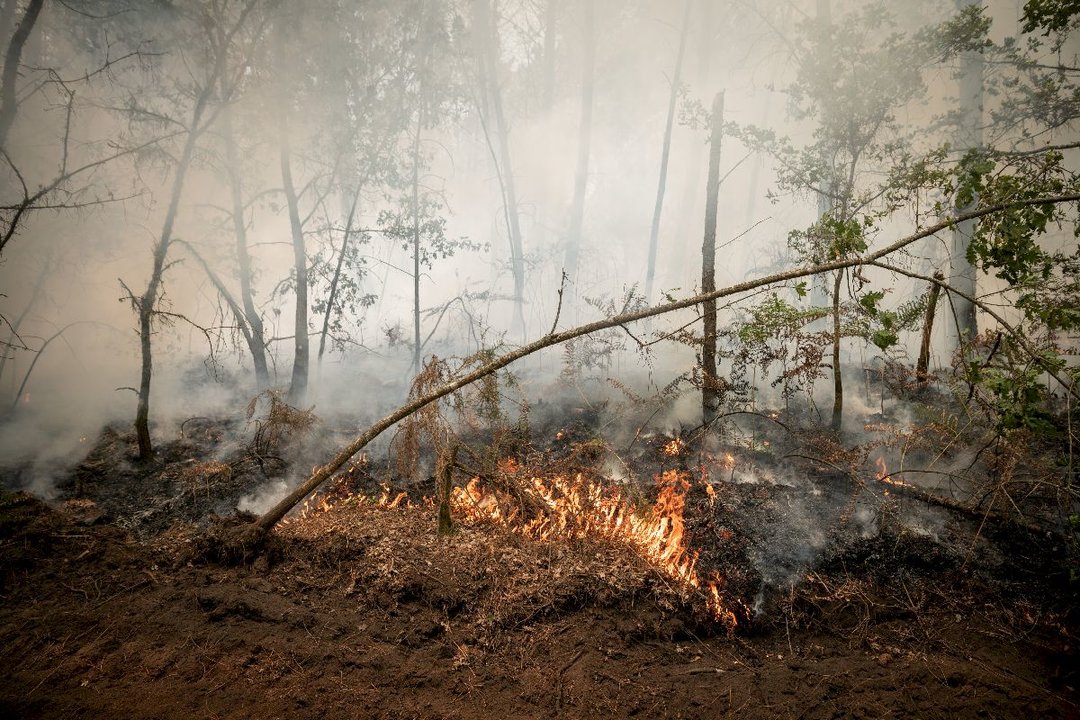 O IRIXO (VALDESOIRO). 11/08/2022. OURENSE. Crónica dos incendios de O Irixo. FOTO: ÓSCAR PINAL
