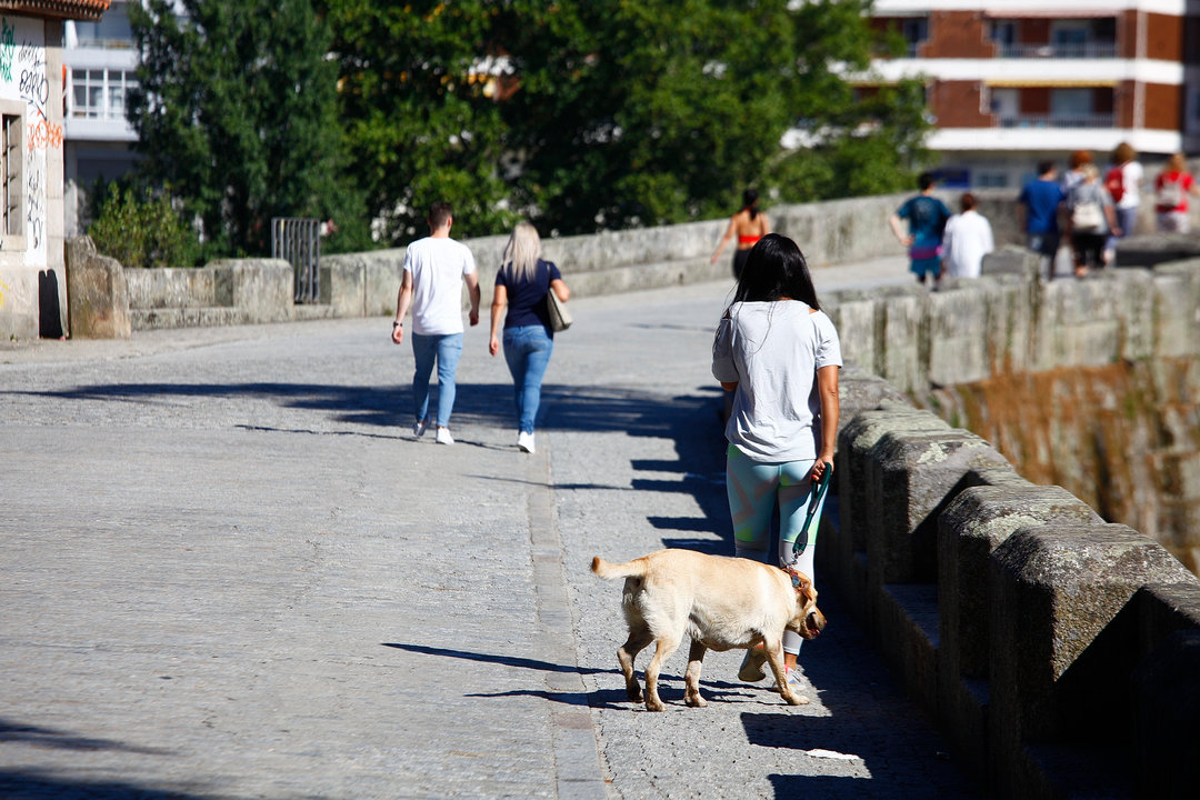 Una mujer pasea a su perro sobre el Puente Romano.