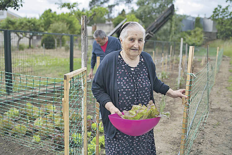 Algunos mayores cuidan de la huerta ecológica que crece en la Residencia Santa Cruz de Arrabaldo.