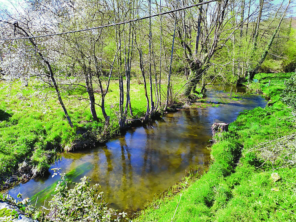 El río Ourille atraviesa Verea, Celanova y A Bola antes de desembocar en el Arnoia.