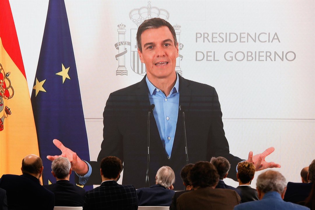 El presidente del Gobierno, Pedro Sánchez en una participación telemática (EFE)
