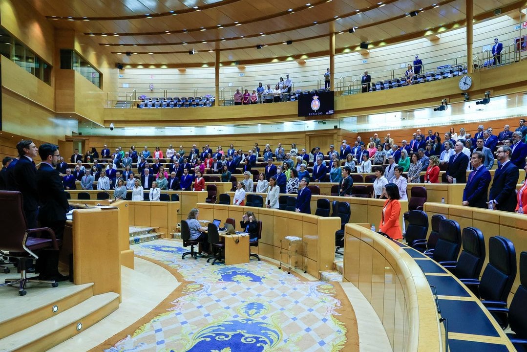 Vista del hemiciclo durante el minuto de silencio por las últimas víctimas de violencia de género, en la sesión de control al gobierno, este martes en el Senado en Madrid (EFE)