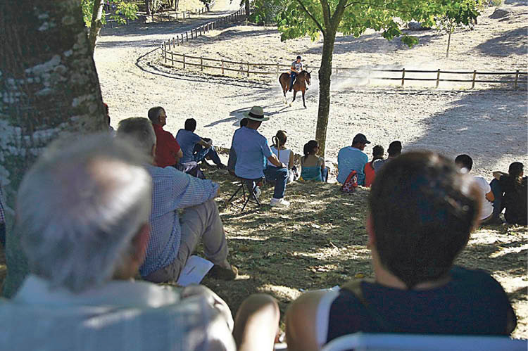 Festa do Cabalo en Puzo do Lago, en ediciones anteriors.