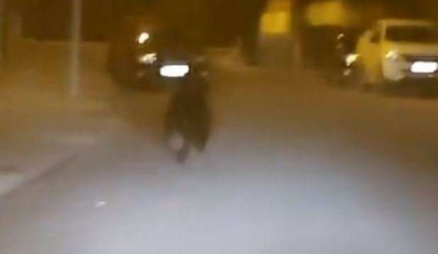 Fotograma del vídeo en el que se ve al oso corriendo por Ponferrada
