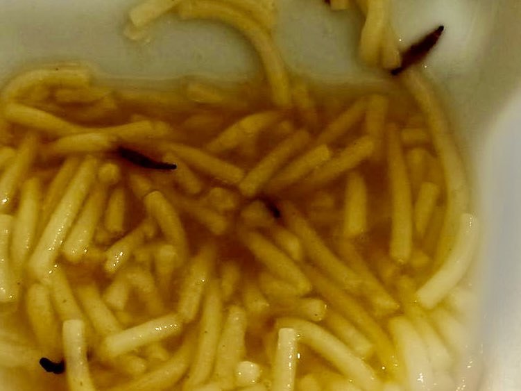 Las larvas en el plato de fideos . Foto: @PSLPSOE