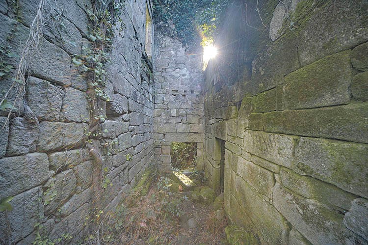 El interior del cenobio de Santa Comba de Naves, en estado ruinoso, en el concello de Ourense (MARTIÑO PINAL).