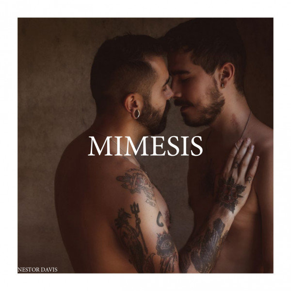 Mímesis, exposición fotográfica de Néstor Davis