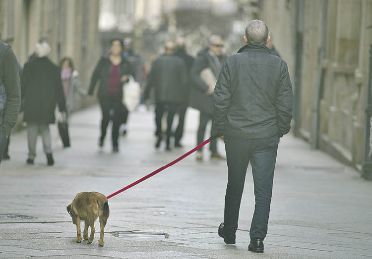 Un hombre paseando a su perro por el centro de Ourense.