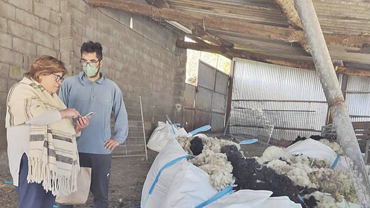 Teté Mareque y Xoán González valoran la lana en Ardexaxe.
