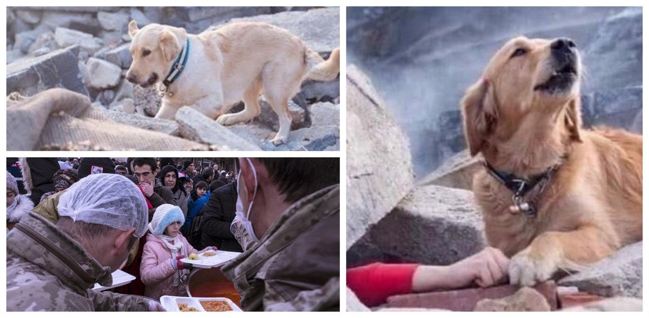 Abajo, imágenes del terremoto en Turquía. Arriba, y a la derecha, las imágenes del perro.