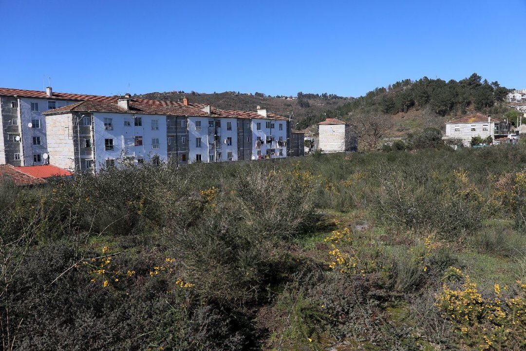 OURENSE 6/02/2023.- Problemática en Covadonga con los jabalís que asolan la zona. José Paz