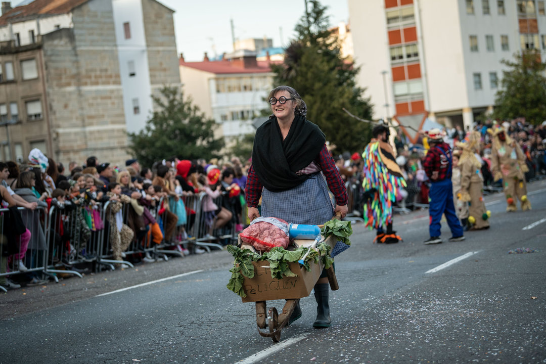 Disfraz de la ladrona de berzas en el desfile de Entroido de Ourense. FOTO: ÓSCAR PINAL