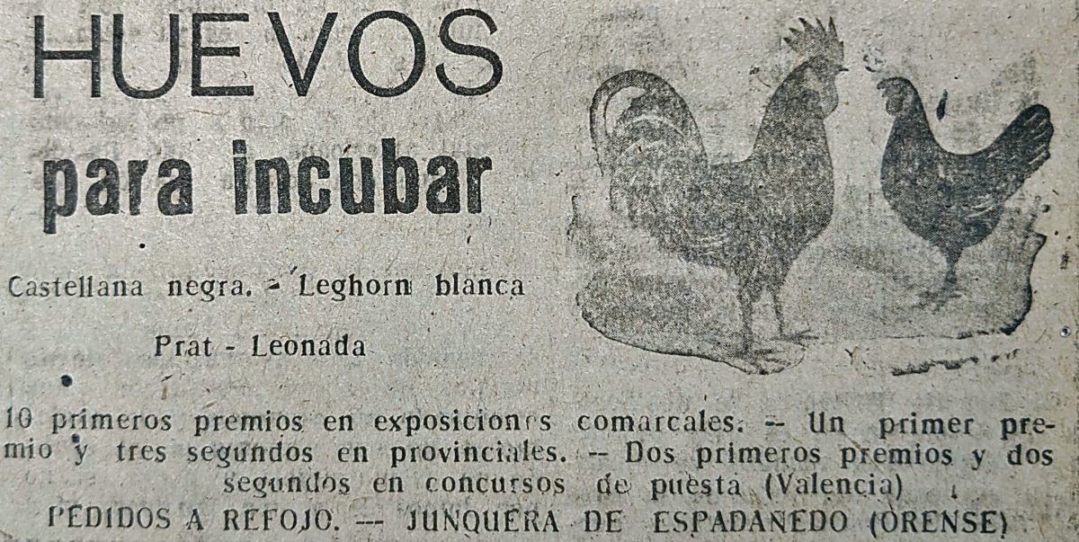 (2) Publicidad en La Región de 1948.
