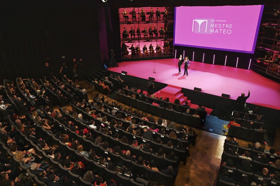 Gala de los Premios Mestre Mateo. MARTIÑO PINAL