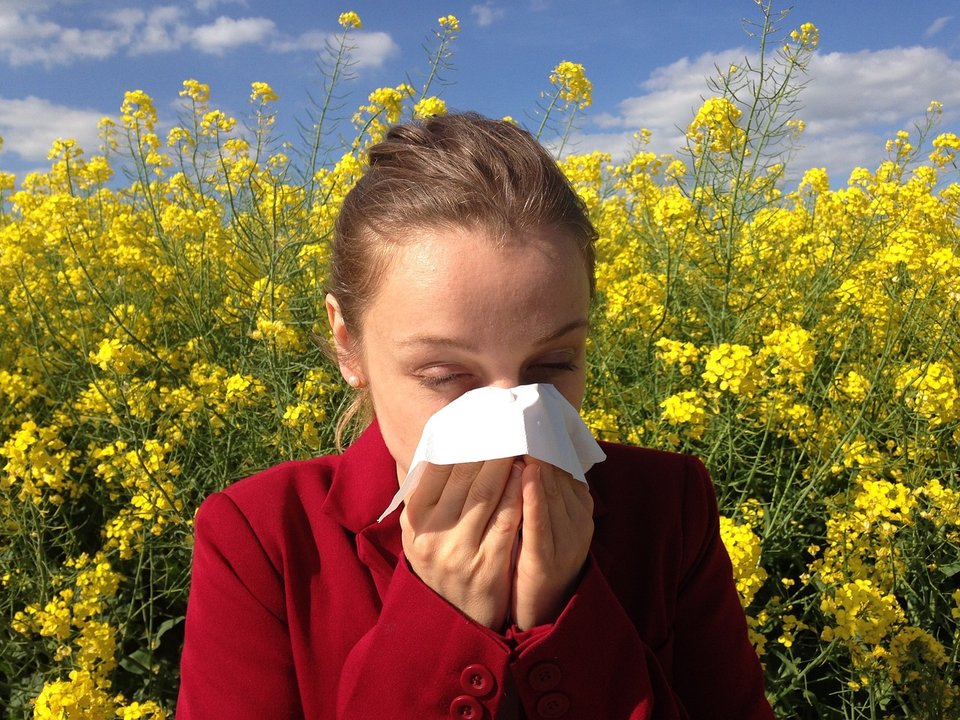 Alergia primaveral. Cenczi, Pixabay.