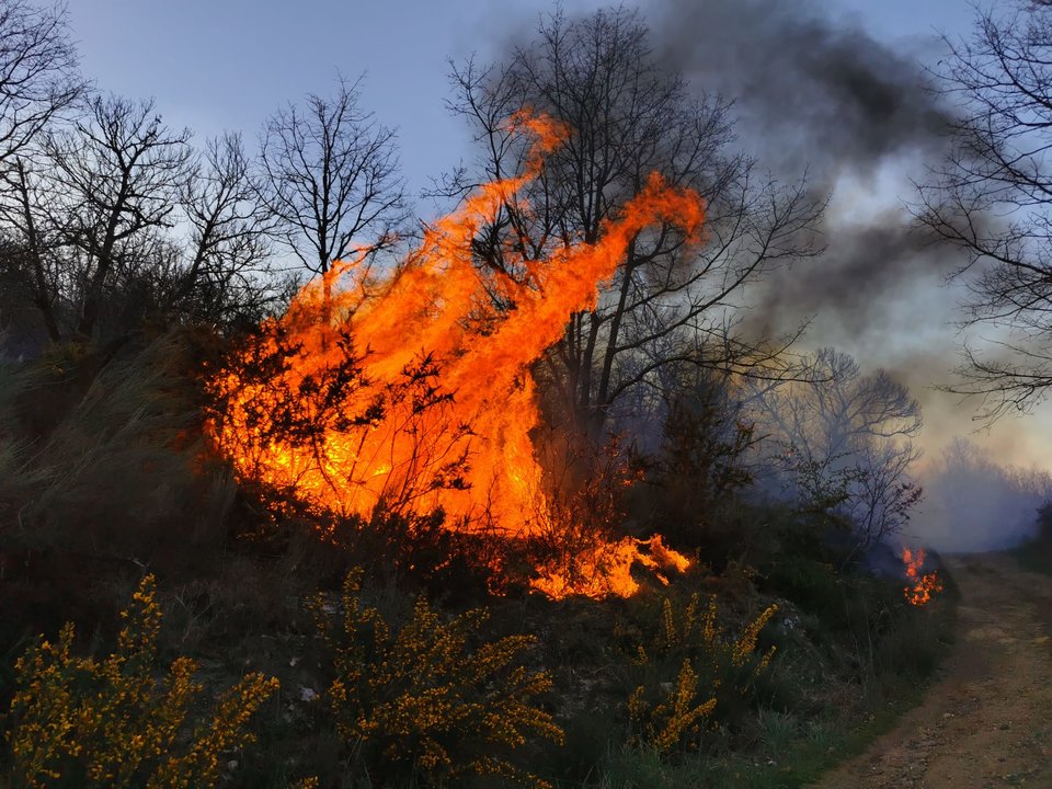 Incendio en Viana.