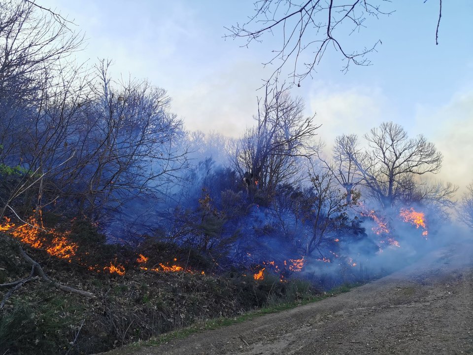 Incendio en Viana