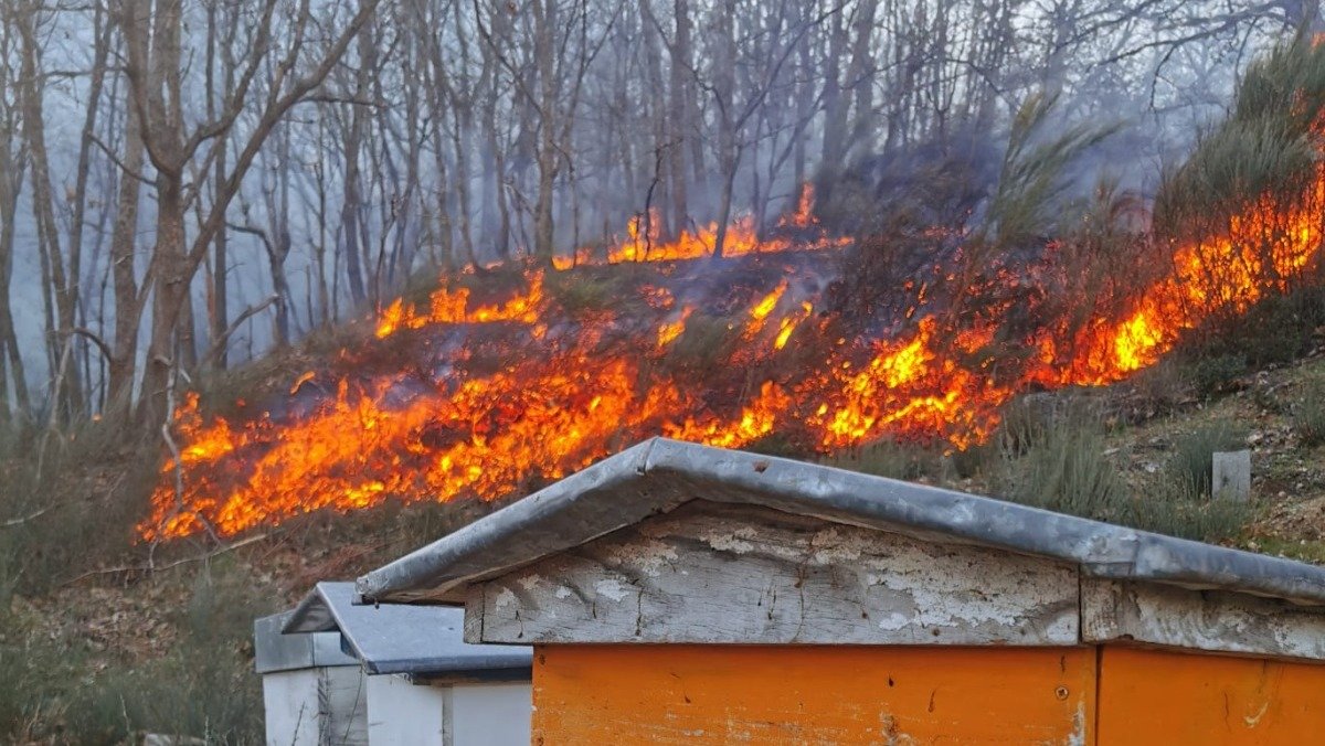 Incendio en Viana do Bolo.