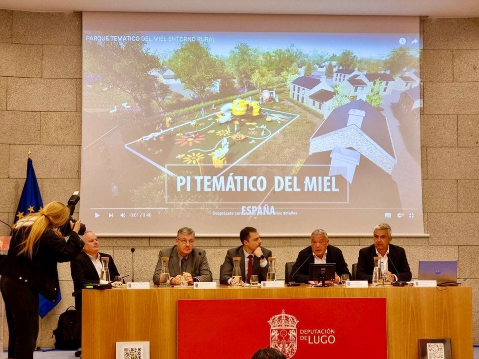Momento de la jornada sobre el reto demográfico celebrada en la Deputación de Lugo.