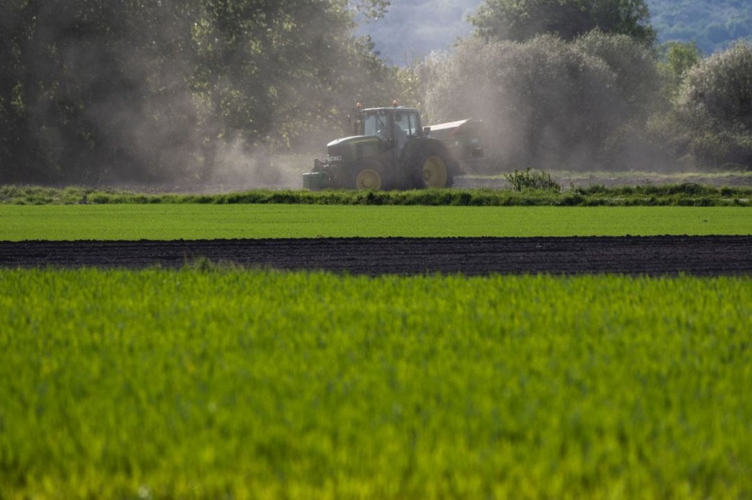 Un tractor desarrolla su tarea en la tarde de ayer en los campos de cultivo de cereal en A Limia.