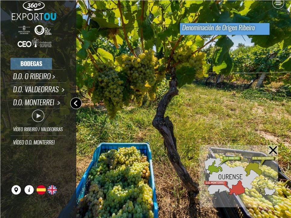 Ejemplo de la visita virtual a las viñas del Ribeiro.