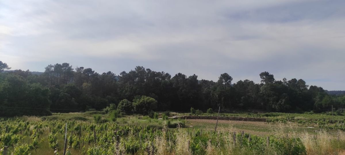 Parte del territorio donde se ubicará el polígono agroforestal de Prado