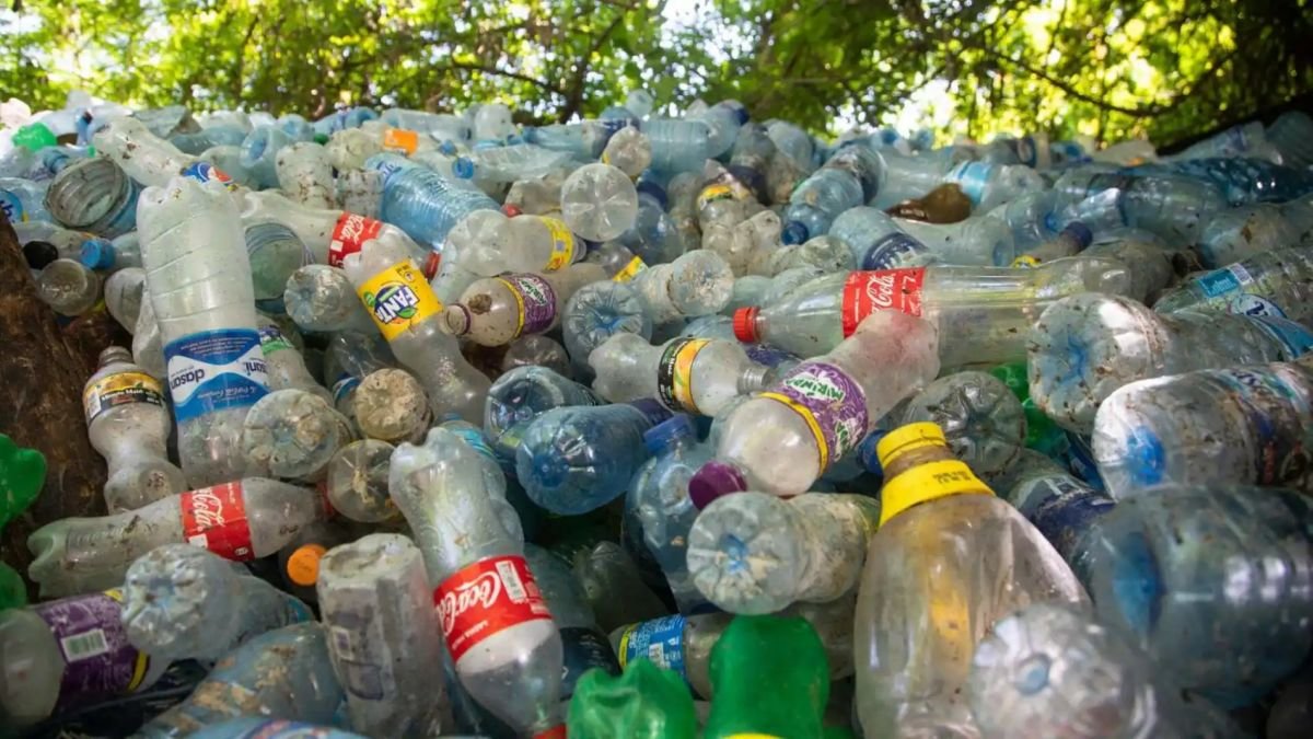 Botellas de plástico acumuladas sin control.