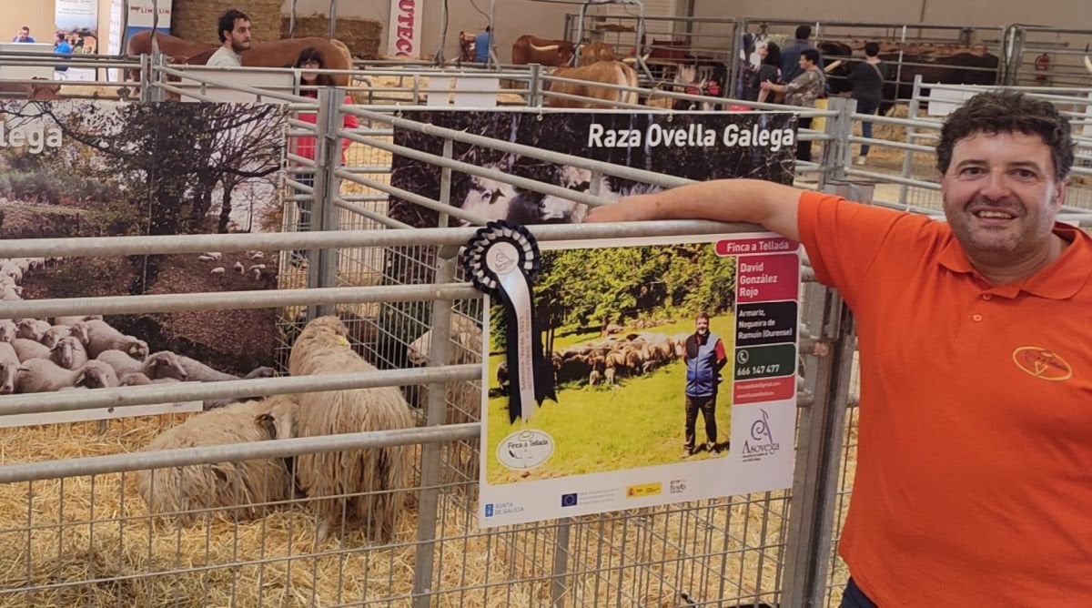 David González Rojo junto a sus ovejas en Silleda.
