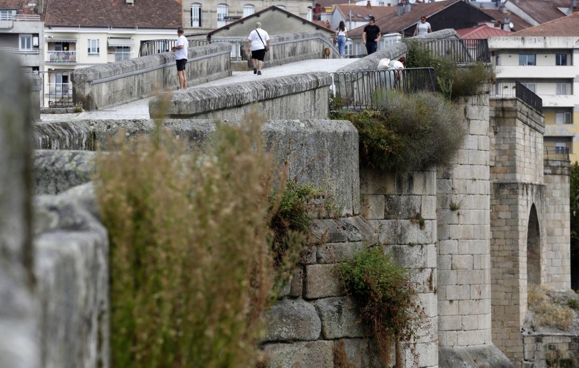 Maleza en el Puente Romano de Ourense