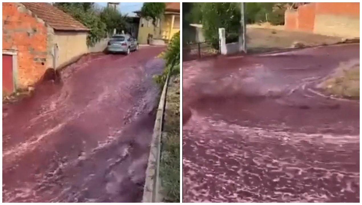 El vino tiñó de color las calles de este pueblo portugués.