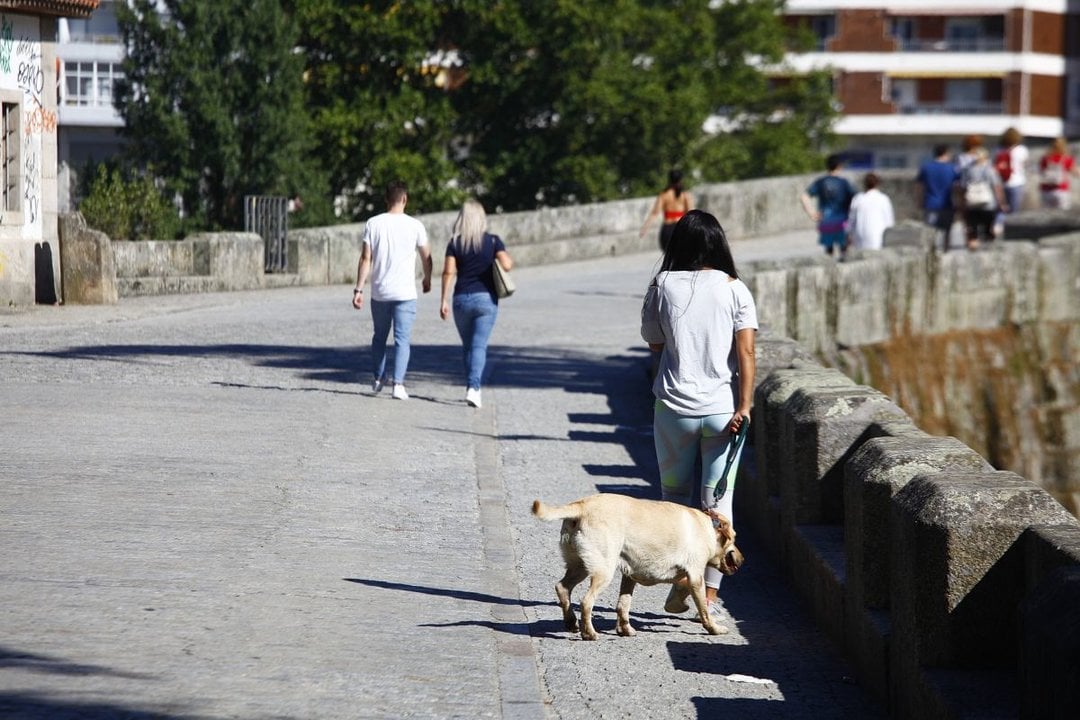 Una joven pasea a su mascota por el Puente Romano de la ciudad.