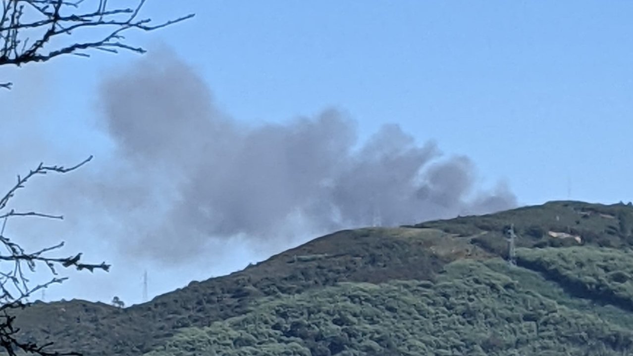 Incendio forestal en Pereiro