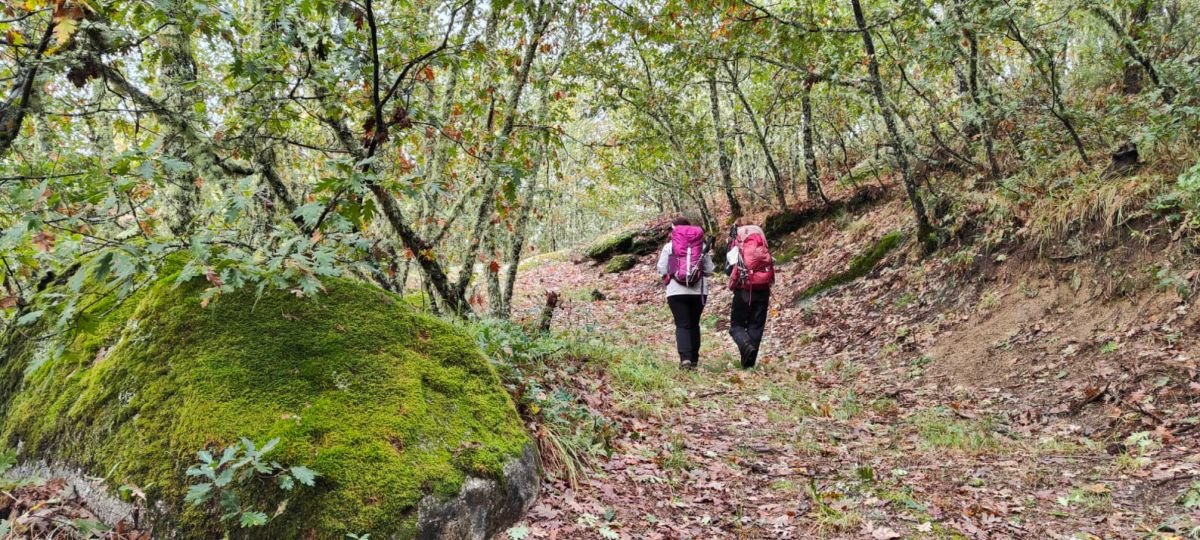 Sendero a través de un bosque que recorren dos participantes en las rutas de otoño en Trevinca.