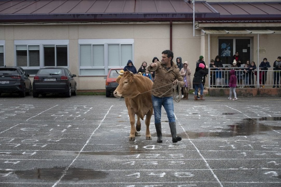La vaca protagonista del pasado año junto a Jose Ramón Ballesteros, su dueño.