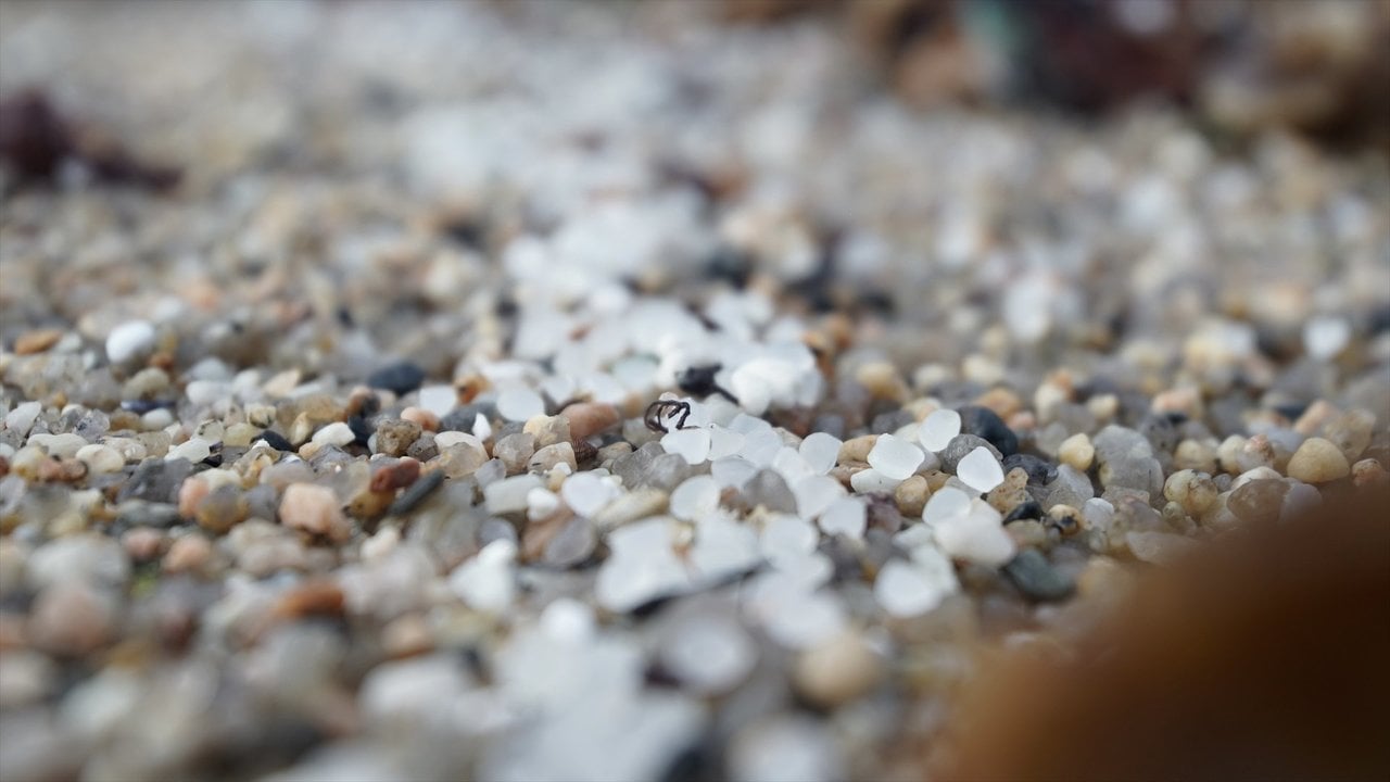 Pellets de plástico en la playa de Sabón (EP)