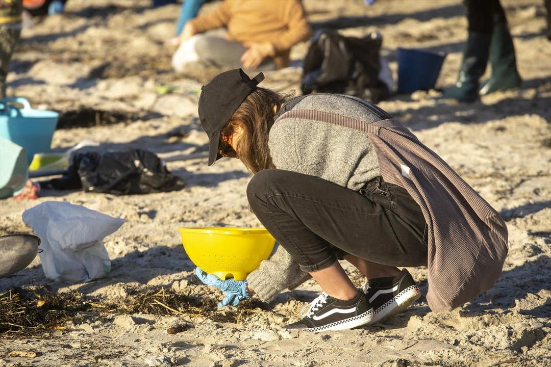 Voluntarios limpiando las playas gallegas. Foto: EP.