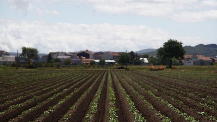 Imagen de un campo en Ourense.