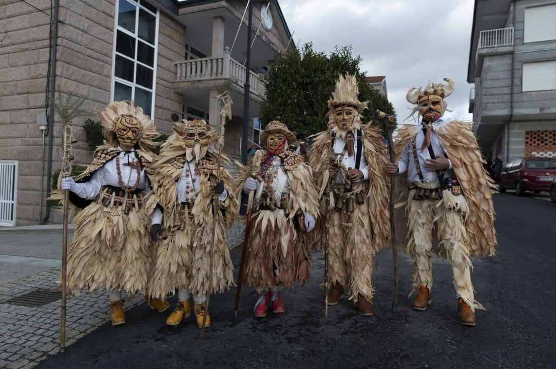 Un grupo con originales disfraces de espigas (foto: Martiño Pinal).