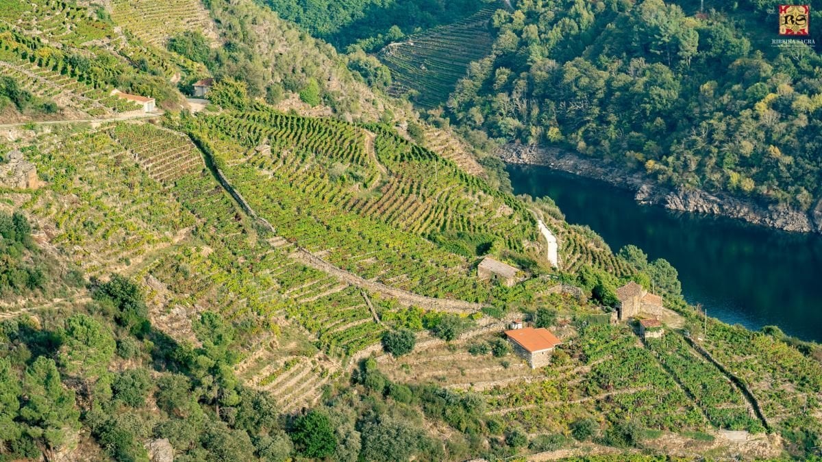 Zona vitivinícola de la Ribeira Sacra.